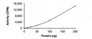 GRK2 Protein, Human, Recombinant (GST)
