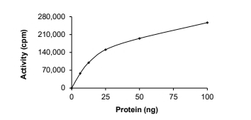 SRGAP3-BRAF Protein, Human, Recombinant (GST)