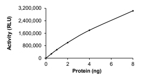 COMT Protein, Human, Recombinant (GST)