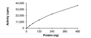 ALK-2/ACVR1 Protein, Human, Recombinant (P197_F198>L, GST)