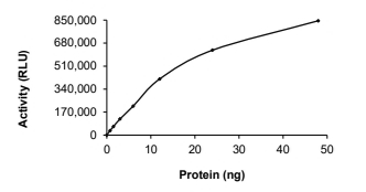 CDK5 & p25 Protein, Human, Recombinant (GST)