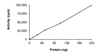 ALK-2/ACVR1 Protein, Human, Recombinant (GST)
