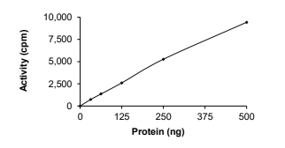 ALK-2/ACVR1 Protein, Human, Recombinant (R258G, GST)