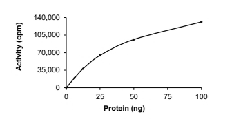 CDK2 & Cyclin E1 Protein, Human, Recombinant (GST)