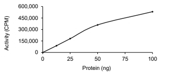 EphB4 Protein, Human, Recombinant (GST)
