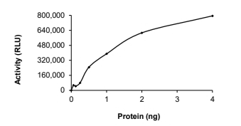 BRAF/B-Raf Protein, Human, Recombinant (GST)