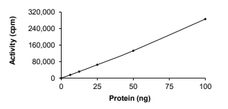 AKT3 Protein, Human, Recombinant (G171R, GST)