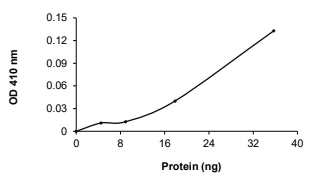 Carboxylesterase 2/CES2 Protein, Human, Recombinant (GST)