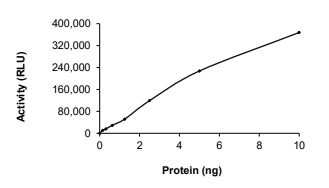 CDK2 & Cyclin A2 Protein, Human, Recombinant (GST)