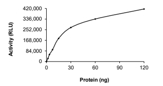 BTK Protein, Human, Recombinant (Active, His)