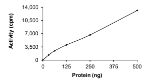 ALK-2/ACVR1 Protein, Human, Recombinant (G328W, GST)