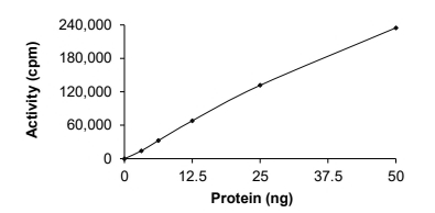 C-ABL/ABL1 Protein, Human, Recombinant (H396P, GST)