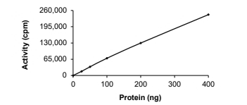 BMX Protein, Human, Recombinant (GST)