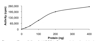 AURORA C, Human, Recombinant (GST)