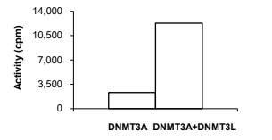 DNMT3L Protein, Human, Recombinant (GST)