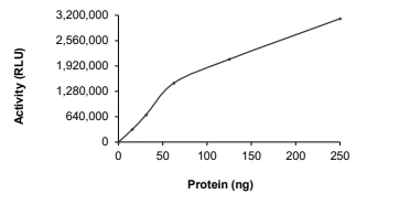 DGKG Protein, Human, Recombinant (GST)