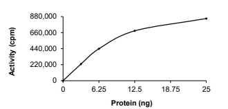 CAMK2D Protein, Human, Recombinant (GST)