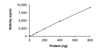 DNMT3A Protein, Human, Recombinant (GST)