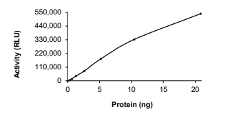 CK1 delta/CSNK1D Protein, Human, Recombinant (GST)