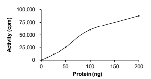 AXL, Human, Recombinant (GST)