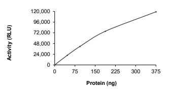 DGKI Protein, Human, Recombinant (GST)