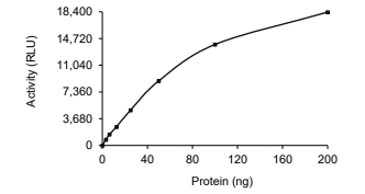 CYLD Protein, Human, Recombinant (GST)