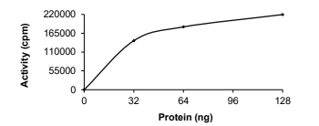 DAPK2/DAP Kinase 2 Protein, Human, Recombinant (GST)