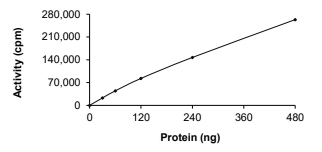 ALK-2/ACVR1 Protein, Human, Recombinant (Q207E, GST)