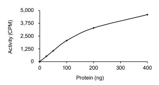 BMPR1A/ALK-3 Protein, Human, Recombinant (GST)