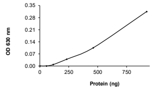 CDC25A Protein, Human, Recombinant (GST)