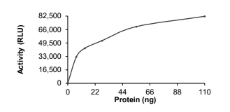 DGKK Protein, Human, Recombinant (GST)