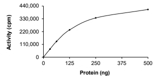 c-Kit Protein, Human, Recombinant (D816H, GST)