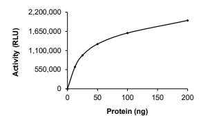 DOT1L Protein, Human, Recombinant (GST)