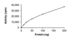 DAPK1 Protein, Human, Recombinant (GST)