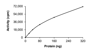 ALK-4/ACVR1B Protein, Human, Recombinant (GST)