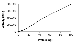 BMPRIB Protein, Human, Recombinant (GST)