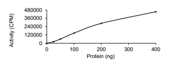 EphA2 Protein, Human, Recombinant (aa 561-976, GST)