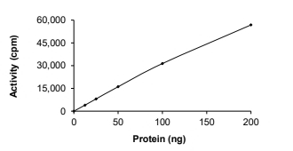 EphA1 Protein, Human, Recombinant (aa 613-892, GST)