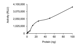 cIAP2/BIRC3 Protein, Human, Recombinant (GST)