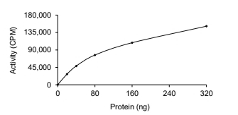EphA1 Protein, Mouse, Recombinant (GST)