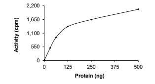 ALK-2/ACVR1 Protein, Human, Recombinant (G356D, GST)