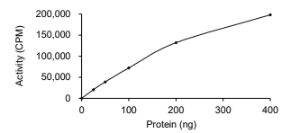 CDK1 & Cyclin A1 Protein, Human, Recombinant (GST)