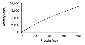 DNMT3B Protein, Human, Recombinant (GST)