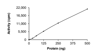 ALK-2/ACVR1 Protein, Human, Recombinant (G328V, GST)