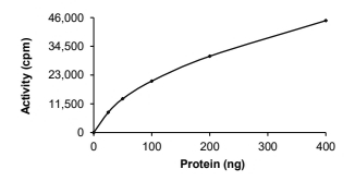 BMPRIB Protein, Human, Recombinant (GST)