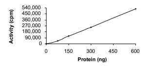 EphB2 Protein, Human, Recombinant (aa 570-1055, GST)