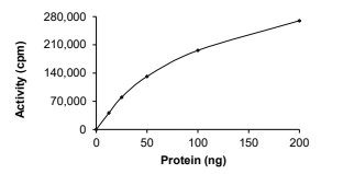 EphB2 Protein, Human, Recombinant (aa 611-893, GST)