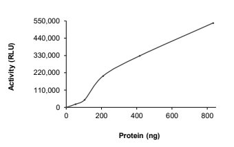 DGKD Protein, Human, Recombinant (GST)