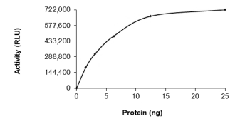 DTYMK Protein, Human, Recombinant (GST)