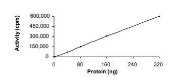 CDC42BPB Protein, Human, Recombinant (GST)